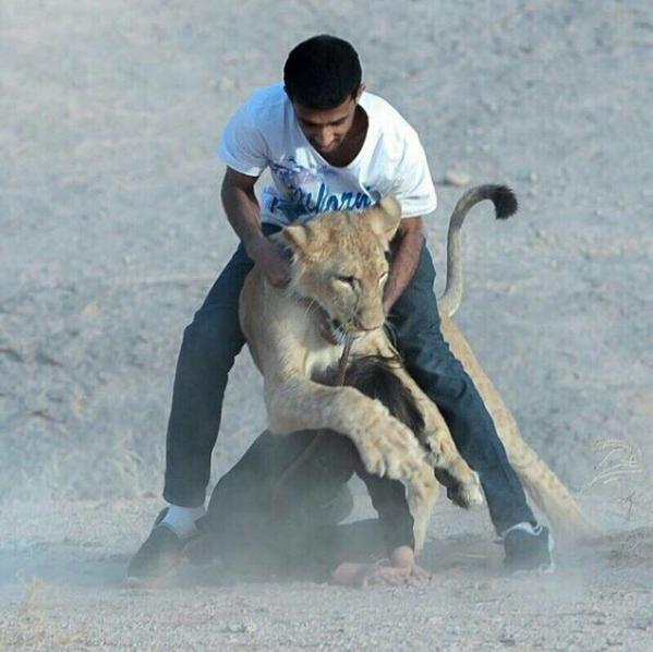  نجل الشاعر زياد بن نحيت يتعرض لهجوم من أسد