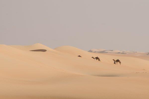 بريطاني يوشك أن يجتاز صحراء الربع الخالي