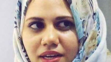 نرمين شمس علي